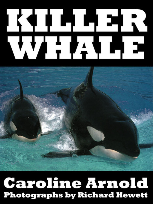 Title details for Killer Whale by Caroline Arnold - Available